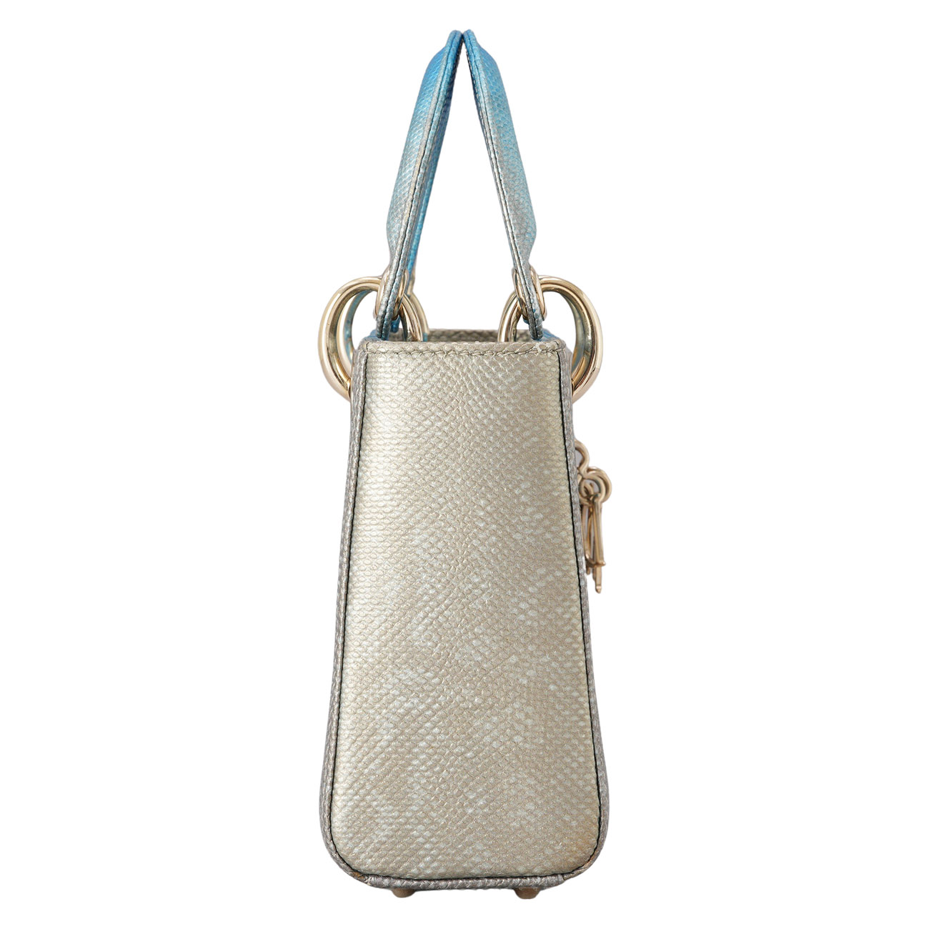 CHRISTIAN DIOR(USED)디올 리자드 레이디디올 미니  & 트윌리